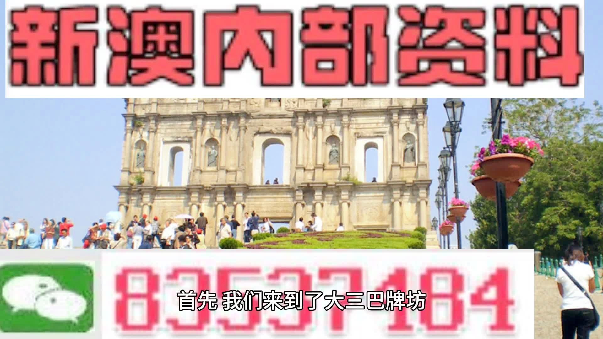 2025新澳门精准一肖一码一中特资料|和平解答解释落实