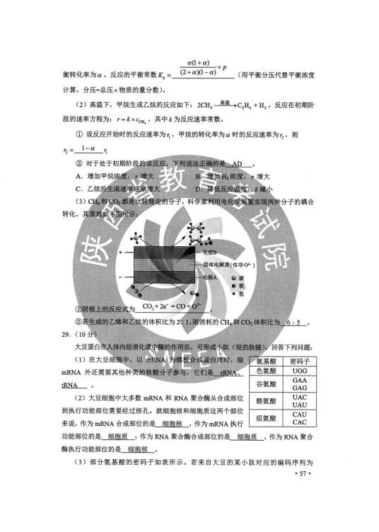 4949cc澳彩资料大全正版|综合研究解释落实